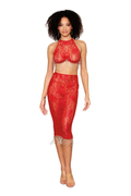 Plus Size Corded Lace Bra and Slip Skirt Set