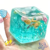 Squishy Fun Box Bundle